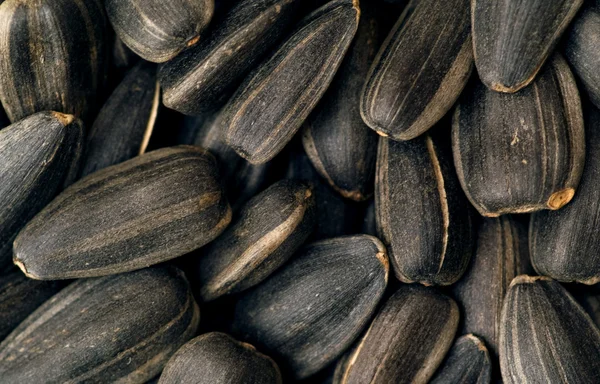 Seeds — Stock Photo, Image