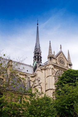 Notre dame de Paris