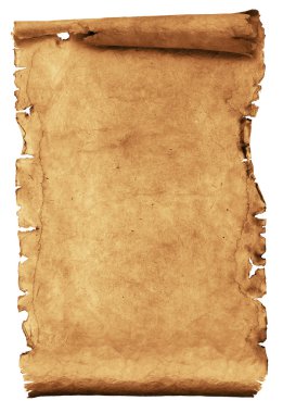 Ancient manuscript isolated