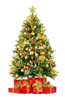 Christmas fir tree with colorful lights