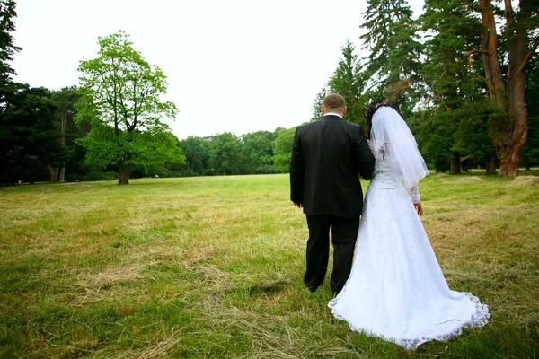 Bröllop promenad — Stockfoto