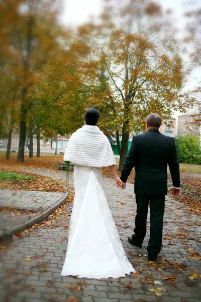 Őszi esküvője utazás — Stock Fotó