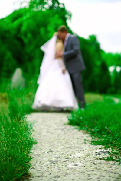 Wedding kiss — Stock Photo, Image