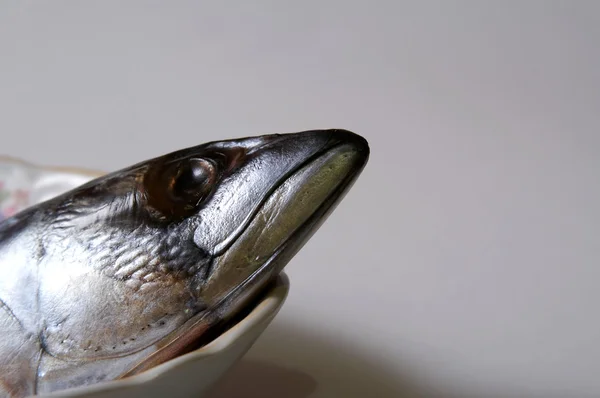 Голова рыбы — стоковое фото
