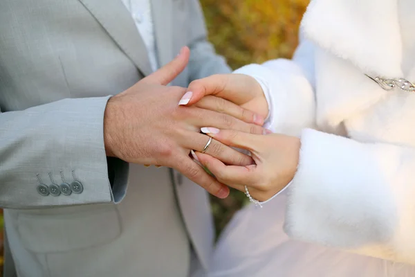 Bruiloften ringen — Stockfoto