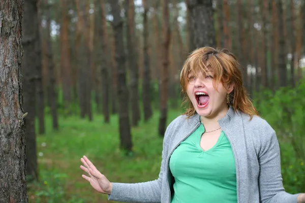 Big scare in the woods — Stock Photo, Image