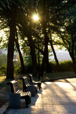 Park güneşli yolu