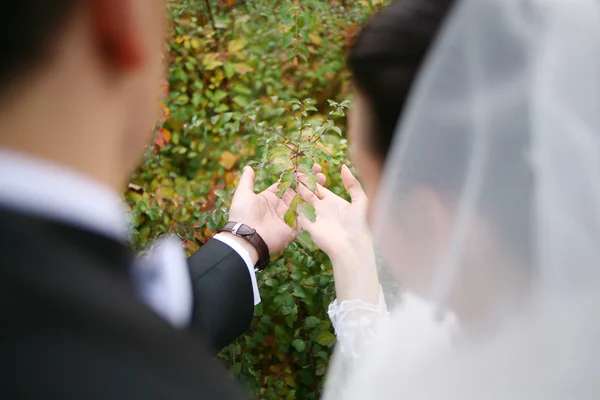 Jeunes mariés sur la promenade — Photo