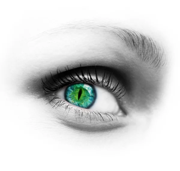 Human eye — Stock Photo, Image