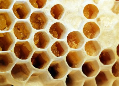 Honeycomb clipart