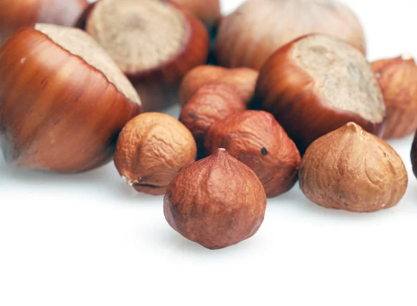 Nuts macro — Stock Photo, Image