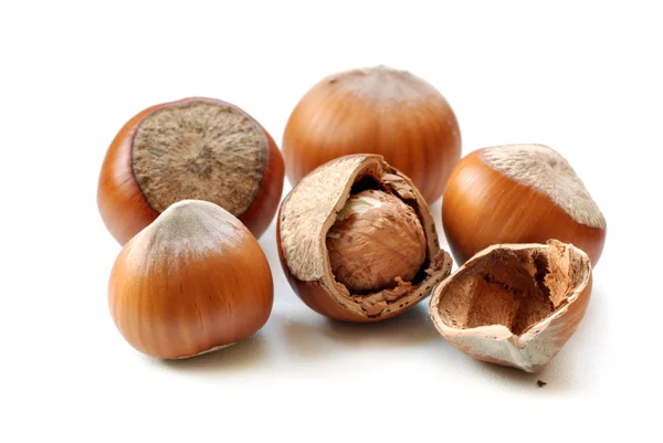 Isolated hazelnuts — Stock Photo, Image