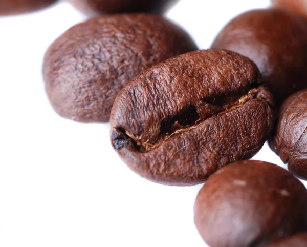 Kaffebönor makro — Stockfoto