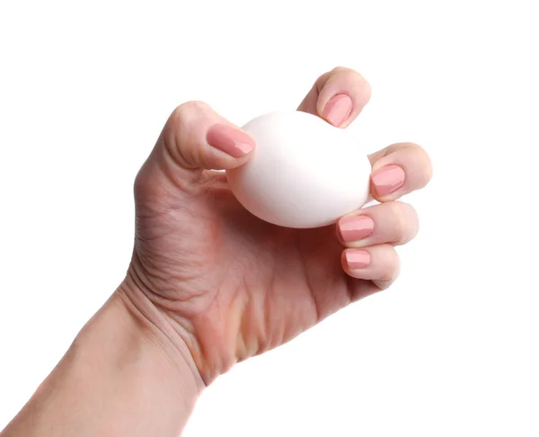 Egg in hand — Stock Photo, Image