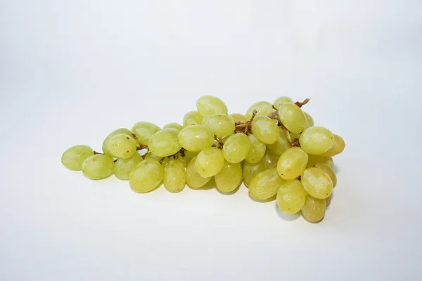 Vinha verde — Fotografia de Stock
