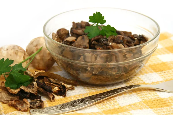 stock image Mushrooms