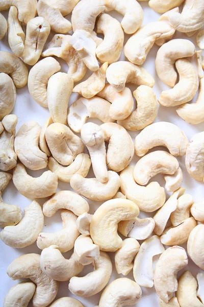 stock image Cashew