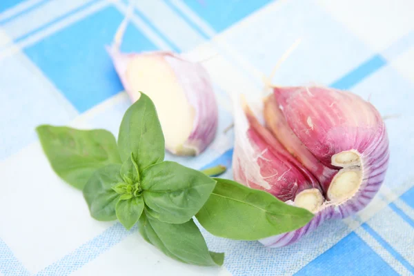 Garlic and basil — Stock Photo, Image