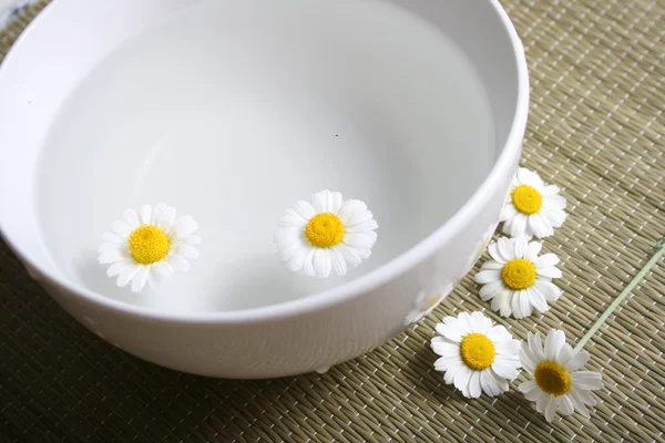 Camomile blooms in water — Stock Photo, Image