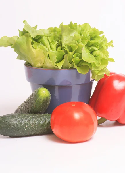 野菜は、健康的な食事 — ストック写真