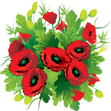 Poppies clipart