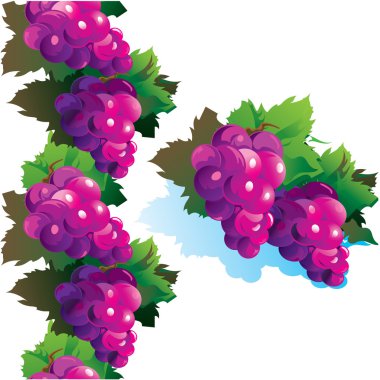 Purple grape clipart