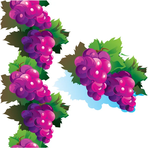 Purple grape — Stock Vector