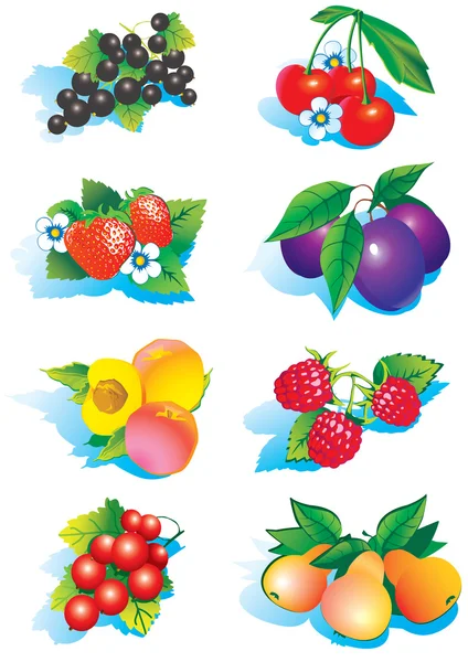 Fruits. — Stock Vector