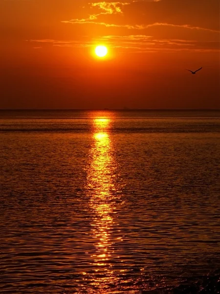 Denizde gün batımı