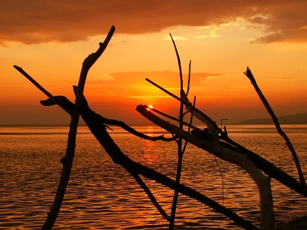 stock image Sunset on the sea