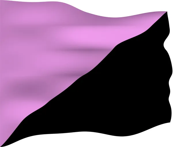 Bandiera Queer anarchica — Foto Stock