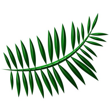 3D Fern clipart