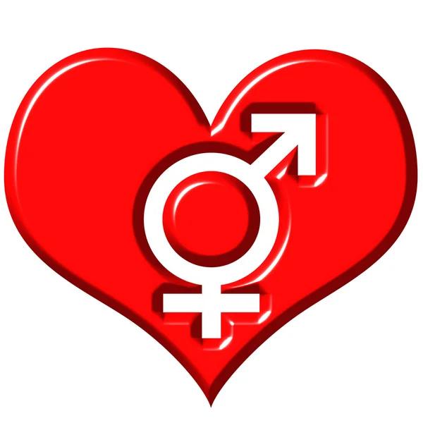 3d heart with combined gender signs — Stock Photo, Image