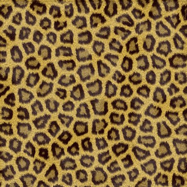 Leopard Fur clipart