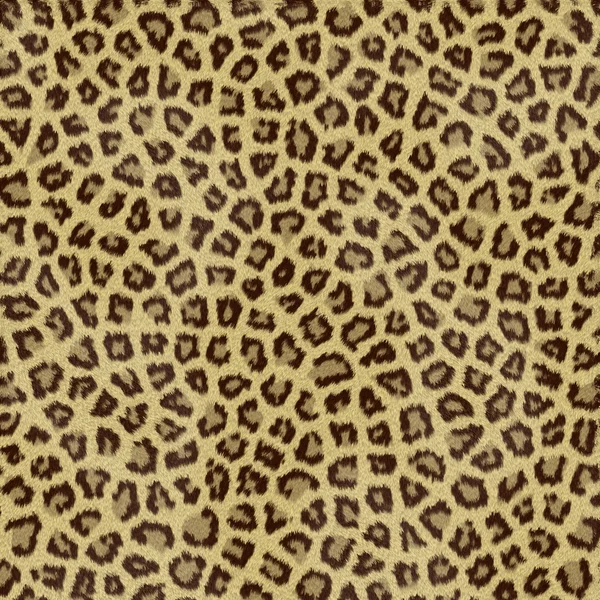 Piel de Jaguar — Foto de Stock