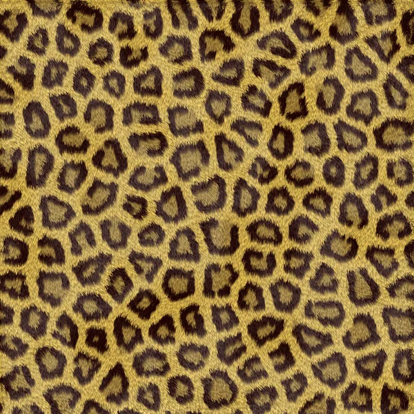 Fourrure de léopard — Photo