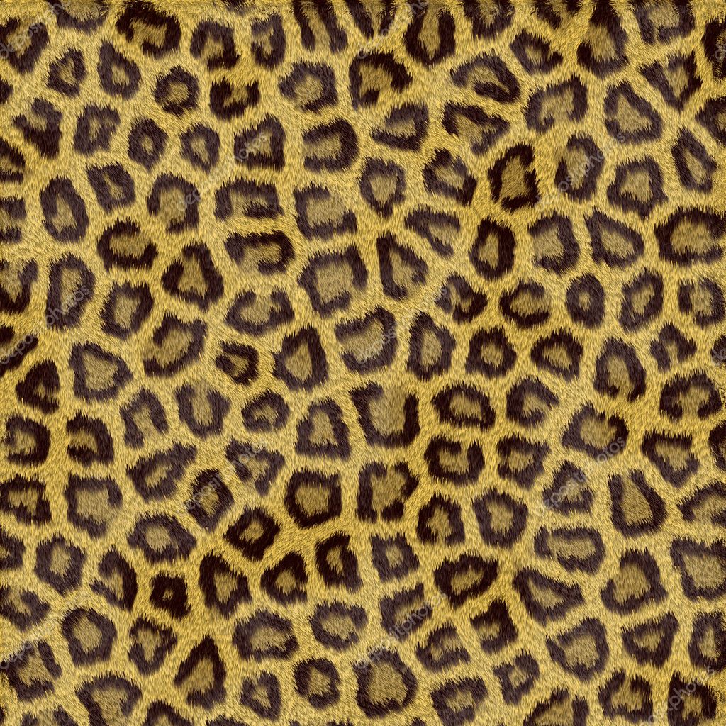 Leopard Fur — Stock Photo © georgios #1409819