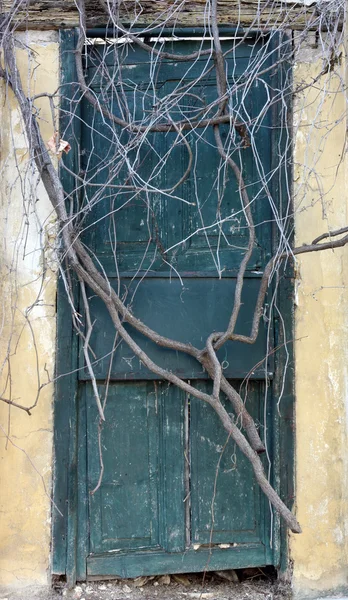 Античная дверь, запечатанная корнями — стоковое фото