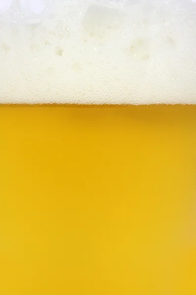 stock image Cold Beer