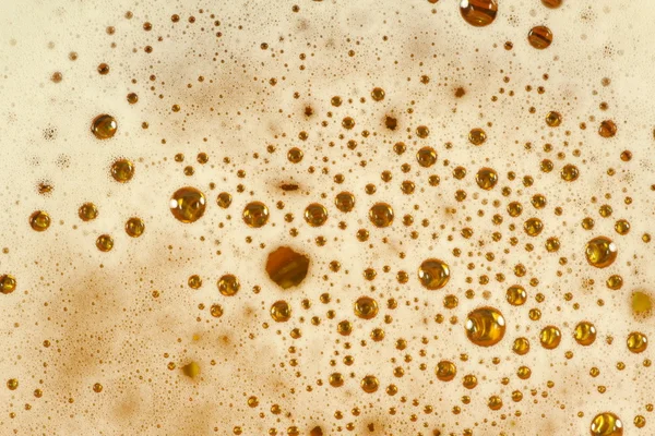 stock image Beer Foam