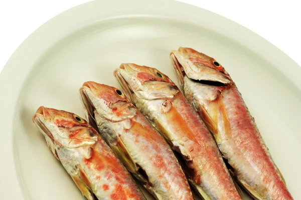 Red Mullet — Stock Photo, Image