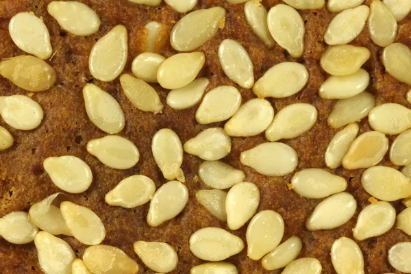 stock image Sesame on bread