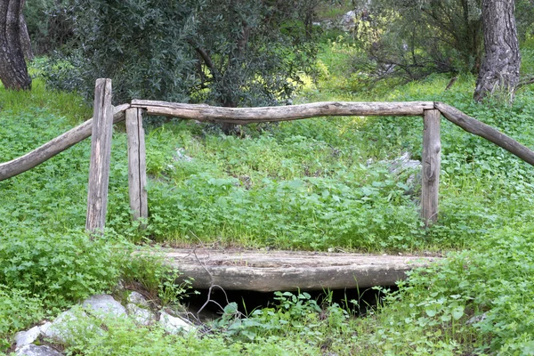 stock image Small Wooden Bridge