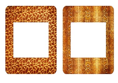 Zoo frames clipart