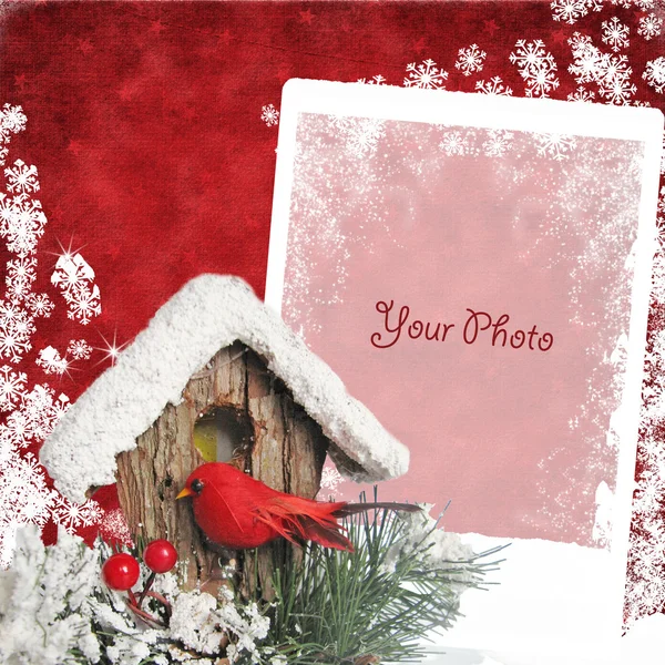 Christmas card with bullfinch — Stock Photo, Image
