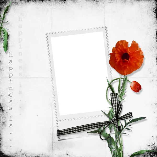 White frame with poppy — Stock Photo, Image