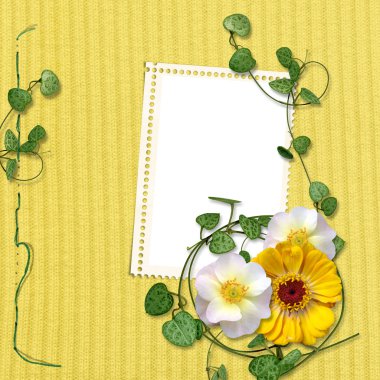 Beauty frame clipart