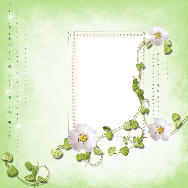 Marco de primavera con sello-Marcos — Stockfoto