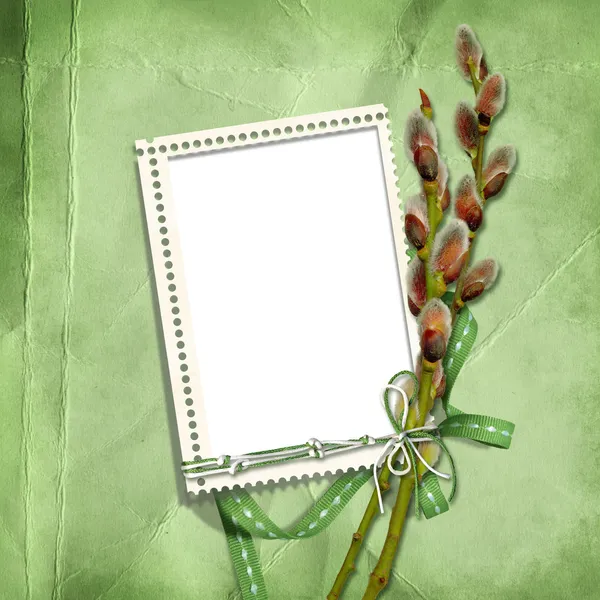 Spring frame with pussy-willow — Stock Photo, Image