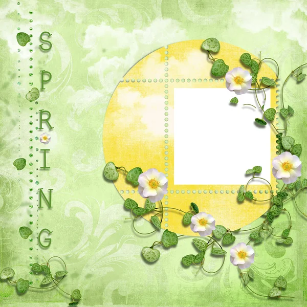 Lente frame met bloem — Stockfoto